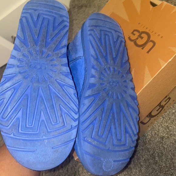 Exotic mini scale blue uggs - Picture 8 of 8